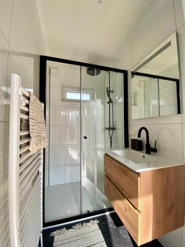 a bathroom with a shower and a sink and a showeriterator at Tinyhouse Grasmus in Nunspeet