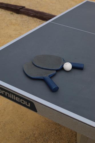 una raqueta de ping pong y una pelota sobre una mesa en Ecau Lodge - Logement insolite à 30km de Pairi Daiza, en Écaussinnes-dʼEnghien