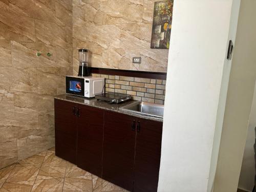 a kitchen with a sink and a microwave on a counter at Road Map Guest House in Addis Ababa