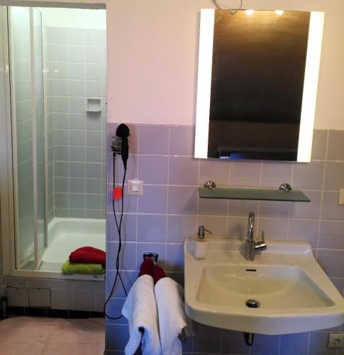 Bilik mandi di Bio-Hotel Zum Forsthaus