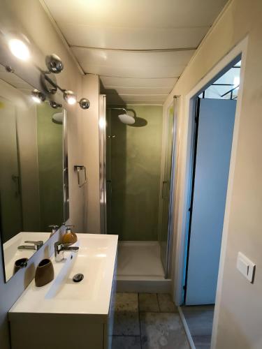 une salle de bain avec un lavabo, une douche et un miroir dans l'établissement Place du marche - Premiere conciergerie, à Nîmes