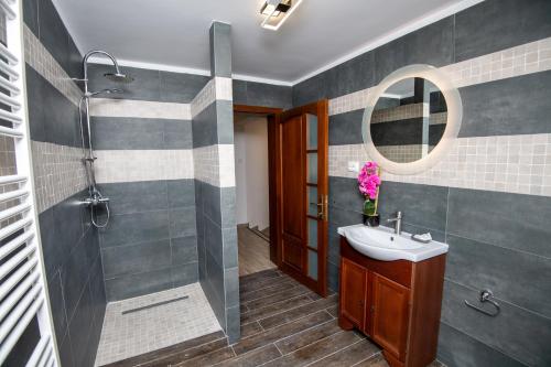 a bathroom with a sink and a shower and a mirror at Pensiunea Teona in Târgu Ocna