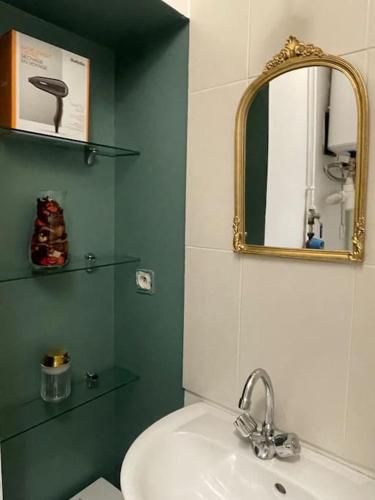 a bathroom with a sink and a mirror at Logement de charme à cachan in Cachan