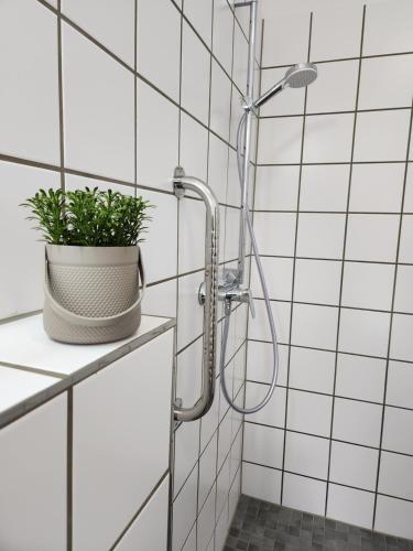 a shower in a white tiled bathroom with a plant at Wohnen am Schlosspark in Bad Salzuflen
