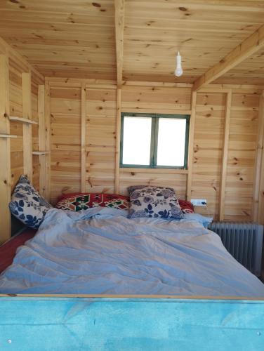 Cama grande en habitación con paredes de madera en Star Gazing, en Mitzpe Ramon