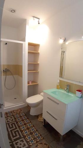 uma casa de banho com um WC, um lavatório e um chuveiro em Beau T3 avec jardin hyper centre proche gare em Angers