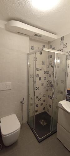 uma casa de banho com um chuveiro e um WC. em Ski apartment Sellette San Sicario Alto em San Sicario