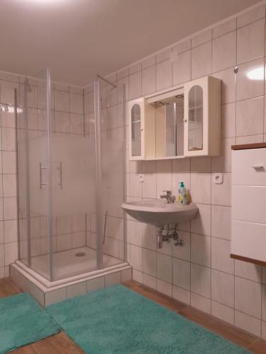 a bathroom with a shower and a sink at Ferienwohnung 2 Jöbstl in Oberburgstall