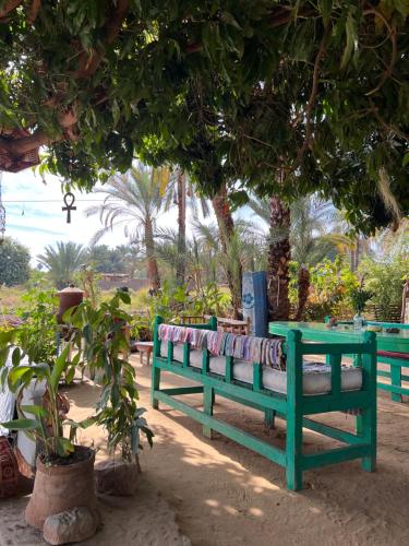 Сад в Salatoos Mango Garden and Guesthouse