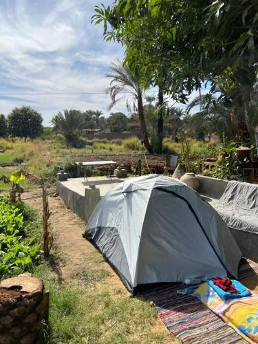 Salatoos Mango Garden and Guesthouse