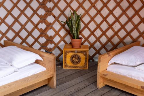 a room with two beds and a potted plant at Yeruu lodge in Jargalant