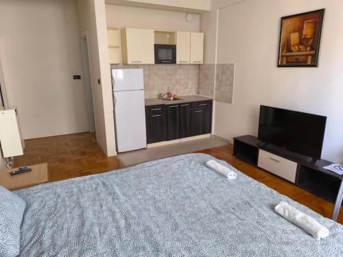 een kamer met een bed, een tv en een keuken bij Apartman Quality in Voždivac