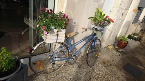 Berbasikal di atau sekitar Hôtel Les Deux Porches