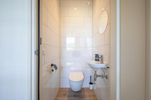 a small bathroom with a toilet and a sink at Familievilla Nieuw Zeeland in Oosterend