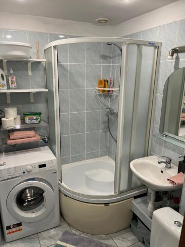 La salle de bains est pourvue d'une douche, d'un lavabo et d'un lave-linge. dans l'établissement Comfy, well-located flat in Green Agenskalns, à Riga