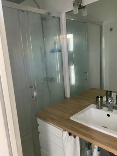 une salle de bain avec un lavabo et une douche en verre dans l'établissement Montmartre, à Paris