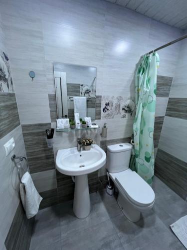 ein Bad mit einem WC und einem Waschbecken in der Unterkunft Comfy Apartment with a Spacious Balcony Self Check In in Yerevan