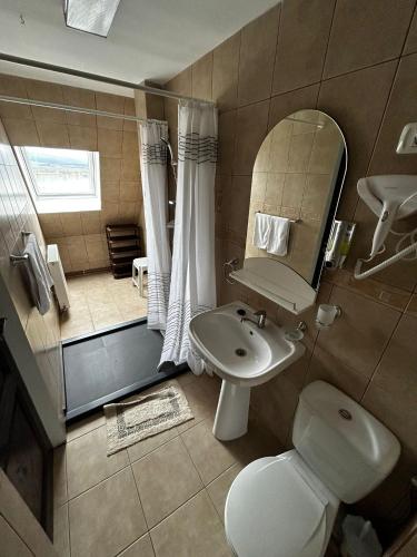 a bathroom with a toilet and a sink and a mirror at Hanul Rotbav in Rotbav