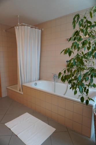 a bathroom with a tub with a shower curtain at City Apartement im Herzen der Stadt in Würzburg