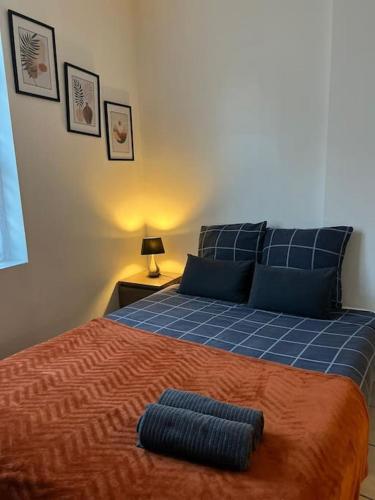 - une chambre avec un lit bleu et 2 oreillers bleus dans l'établissement Studio 4 - Cosy Bord De Loire, à Orléans