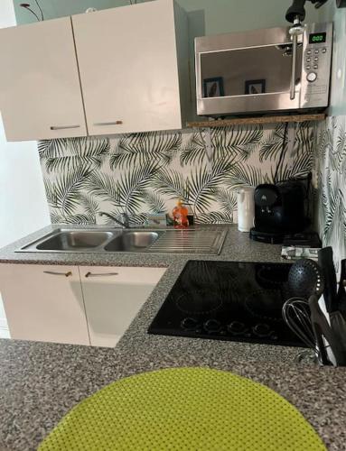 une cuisine avec un évier et un micro-ondes dans l'établissement Studio 4 - Cosy Bord De Loire, à Orléans