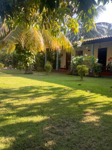a green yard with trees and a house at Lobster Inn in Trincomalee