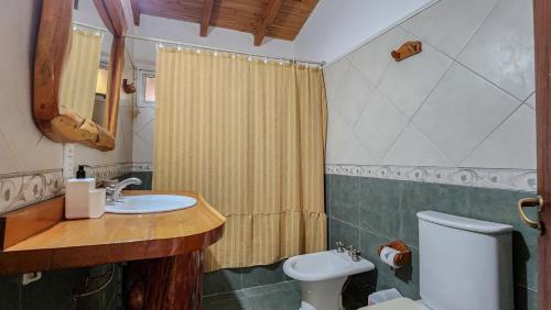 a bathroom with a sink and a toilet at La gringa 1 in San Carlos de Bariloche