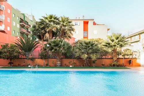 een zwembad met palmbomen en gebouwen bij Apartamento coqueto con terraza junto a Candelaria in Candelaria