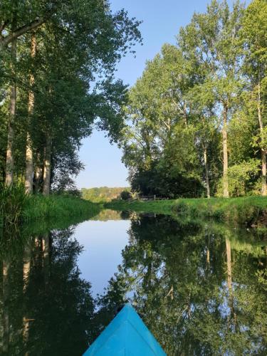 a boat on a river with trees in the background at The Cartshed, Coltishall, Norfolk in Norwich