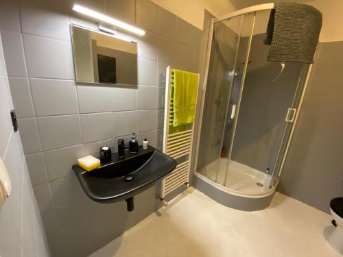 a bathroom with a sink and a shower at Apartmán - Dovolená Mladé Buky in Mladé Buky