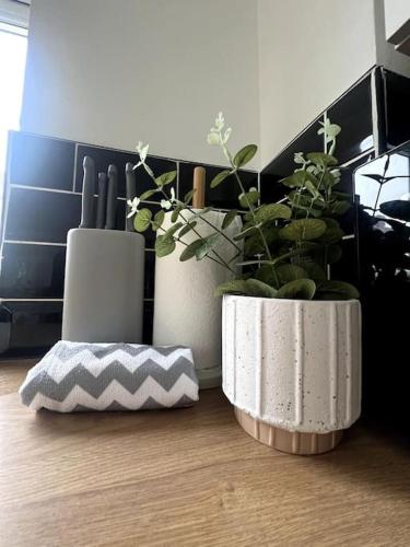 due vasi bianchi con piante su un pavimento in legno di No. 10 - Home away from Home a Litherland
