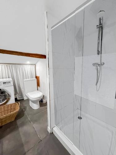 une salle de bain avec douche et toilettes dans l'établissement Charme Stéphanois Centre historique et stade G Guichard, à Saint-Étienne