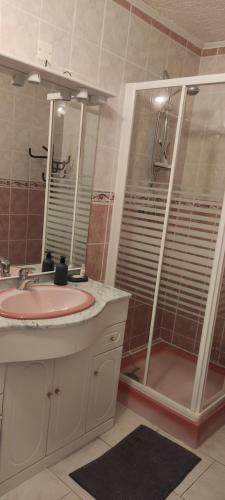a bathroom with a pink sink and a shower at Les garrigues 1er étage in Pernes-les-Fontaines