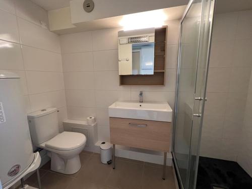 普洛埃默的住宿－RÉF 171 - PLOEMEUR T1 BIS Duplex vue mer，浴室配有卫生间、盥洗盆和淋浴。