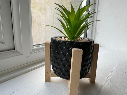 a black planter sitting on a wooden stand with a plant at Scotch Terrace - 3 Bedrooms - Sleeps 6 in Whitehaven