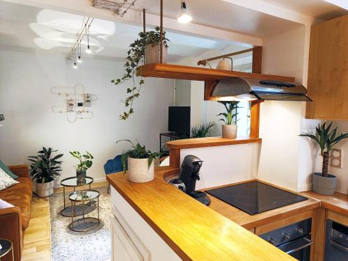 une cuisine et un salon avec un comptoir et des plantes dans l'établissement Peaceful apartment with private garden, à Clichy