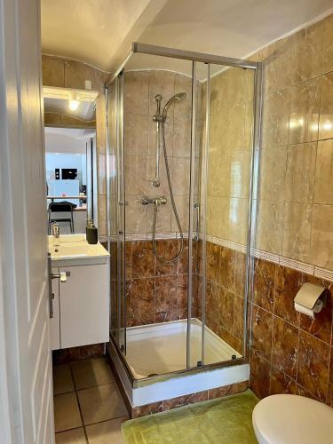 une salle de bain avec une douche, des toilettes et un lavabo dans l'établissement Charmant studio proche gare/centre-ville, à Toulon