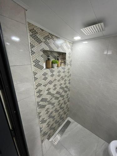 La salle de bains est pourvue d'une douche avec des plantes en pot. dans l'établissement Old Gyumri, à Gyumri