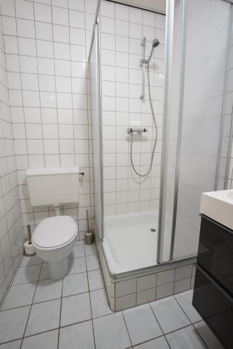 a white bathroom with a shower and a toilet at De Berkenhof in Nes