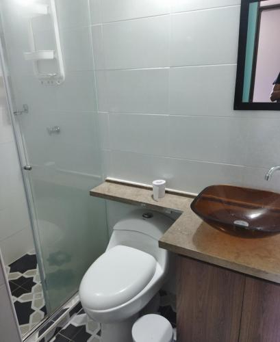 La salle de bains est pourvue de toilettes et d'un lavabo. dans l'établissement Habitación frente a piscina, à Flandes