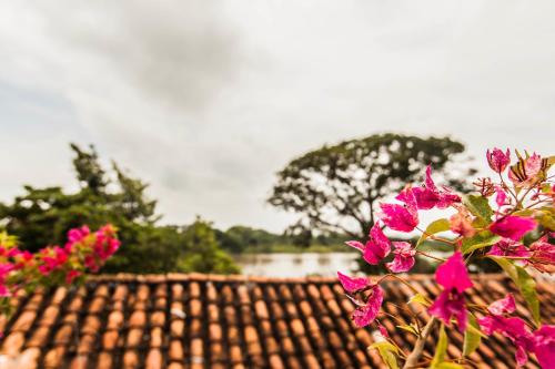 Landskap semula jadi dekat dengan penginapan & sarapan