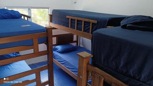 Habitación con 3 literas y sábanas azules. en Hostal Paraiso Minca, en Minca