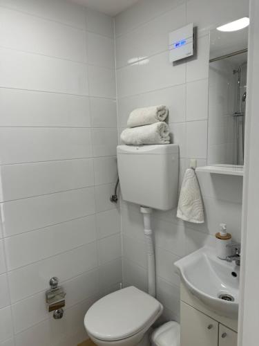 a white bathroom with a toilet and a sink at Trsat-Kampus apartments in Rijeka