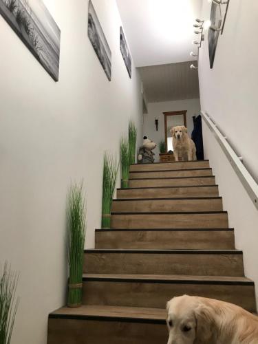 Gallery image of 5 1/2 Zimmer Penthouse Luv und Lee in Wangerland