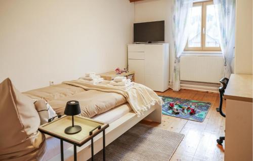 a small bedroom with a bed and a television at Großes Ferienhaus In Oberwoelz in Oberwölz Stadt