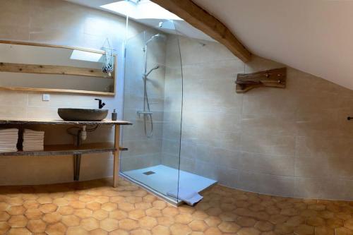 a bathroom with a shower and a sink at Le Barbapou in Ventron