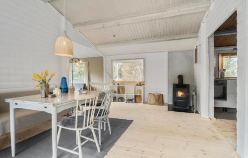 a kitchen and dining room with a table and a fireplace at 3 Bedroom Gorgeous Home In Rørvig in Rørvig