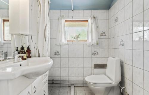 a bathroom with a toilet and a sink and a window at 3 Bedroom Gorgeous Home In Rørvig in Rørvig