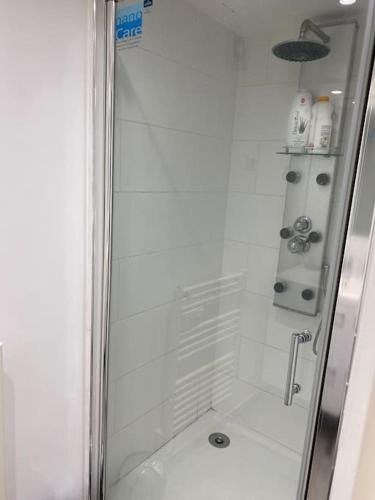 une douche avec une porte vitrée dans une salle de bain dans l'établissement Gîte des Chabaudières, à Chaneins