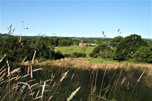 a field with tall grass and a house in the distance at Tranquil countryside cottage for two in Wrexham